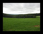 IMG_1066.jpg