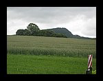 IMG_1067.jpg