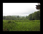 IMG_1079.jpg