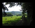 IMG_1082.jpg