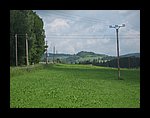 IMG_1086.jpg
