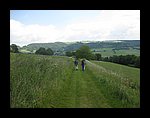 IMG_1088.jpg