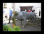 IMG_1091.jpg