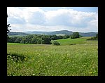 IMG_1093.jpg