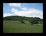 IMG_1095.jpg