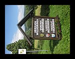 IMG_1099.jpg