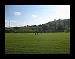 IMG_1102.jpg