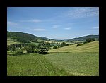 IMG_1116.jpg