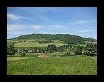 IMG_1117.jpg