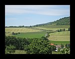 IMG_1118.jpg