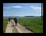 IMG_1120.jpg