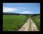 IMG_1121.jpg
