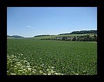 IMG_1123.jpg