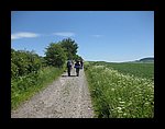 IMG_1124.jpg