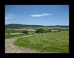 IMG_1127.jpg