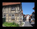IMG_1130.jpg