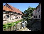 IMG_1131.jpg