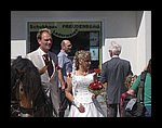 IMG_1135.jpg
