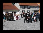 IMG_1137.jpg