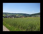 IMG_1142.jpg