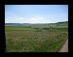 IMG_1143.jpg