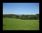 IMG_1145.jpg