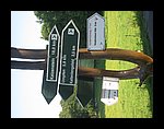 IMG_1155.jpg