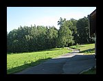 IMG_1156.jpg