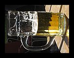 IMG_1159.jpg