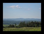 IMG_1166.jpg