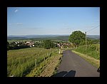 IMG_1171.jpg