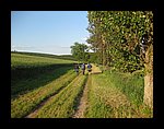 IMG_1175.jpg