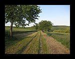 IMG_1176.jpg