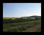 IMG_1177.jpg