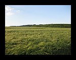 IMG_1178.jpg