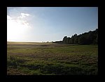 IMG_1180.jpg