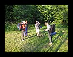 IMG_1181.jpg