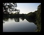IMG_1183.jpg
