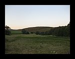 IMG_1185.jpg