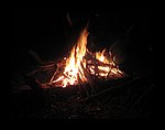 IMG_1186.jpg