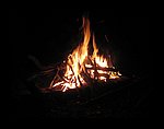 IMG_1187.jpg