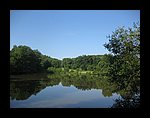 IMG_1189.jpg