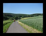 IMG_1190.jpg