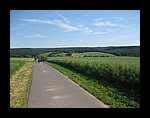 IMG_1191.jpg