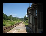 IMG_1195.jpg