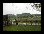 IMG_3184.JPG