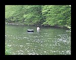 IMG_3189.JPG