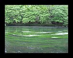 IMG_3197.JPG