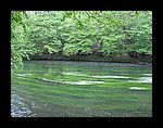 IMG_3198.JPG