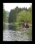 IMG_3200.JPG